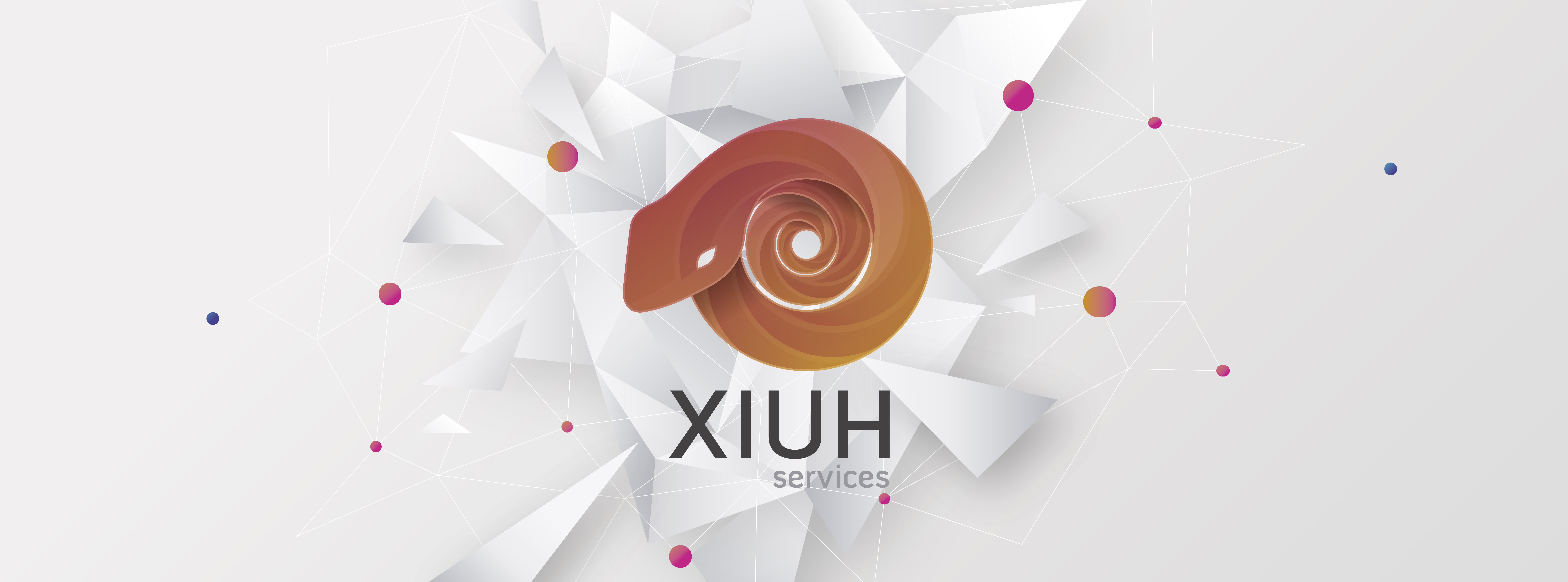 XIUH SERVICES